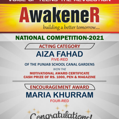 Awakener Competition Winners